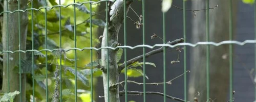 svařovaná plotová síť pantanet family